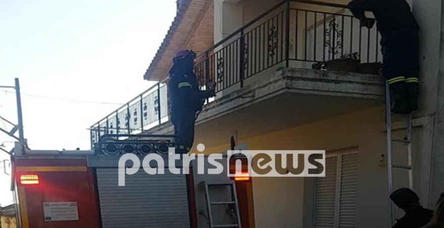 Ηλεία: Έφυγε για 10 μέρες και άφησε τον σκύλο στο μπαλκόνι - Γείτονες και πυροσβέστες έσωσαν το ζώο