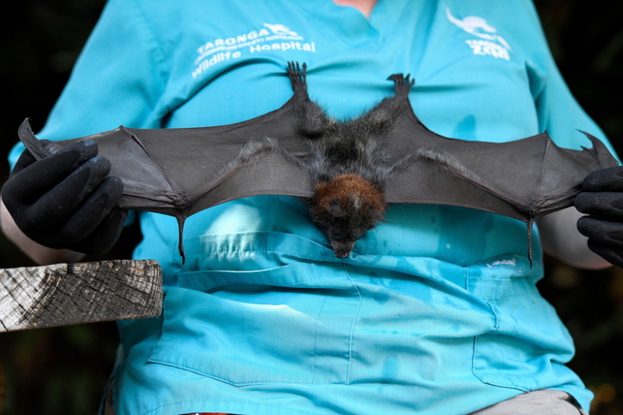 Εικόνες σοκ από την πύρινη λαίλαπα στην Αυστραλία: Η Μελβούρνη «εξαφανισμένη» στον καπνό