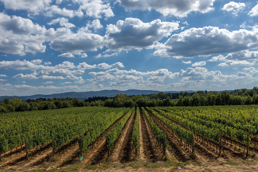 Αλέξανδρος Λεμονής: Νέες business με την υπογραφή Ferragamo