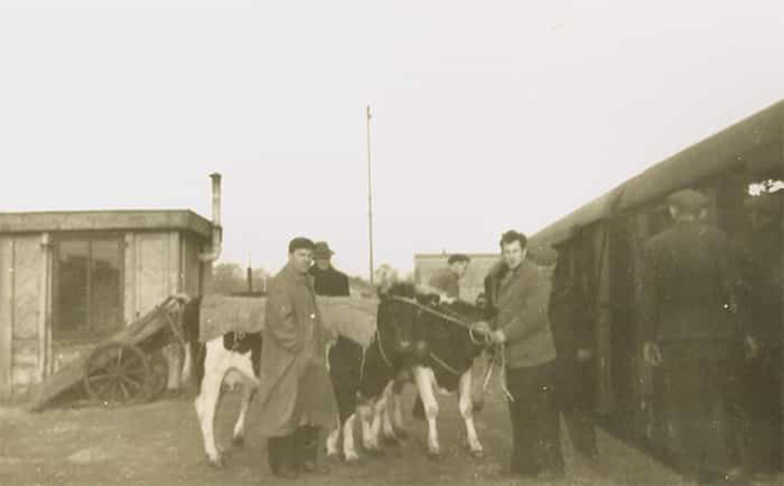 Έφυγε από τη ζωή ο Βασίλης Βάρσος, του θρυλικού ζαχαροπλαστείου στην Κηφισιά