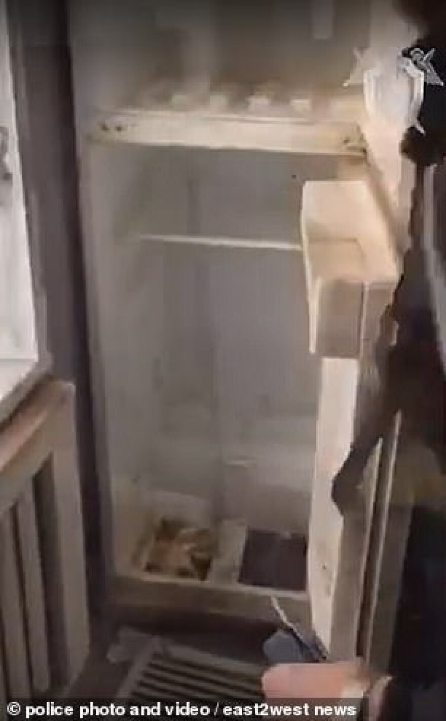 Τραγικός θάνατος για 3χρονη στη Ρωσία: Πέθανε από ασιτία ενώ η μητέρα της διασκέδαζε!