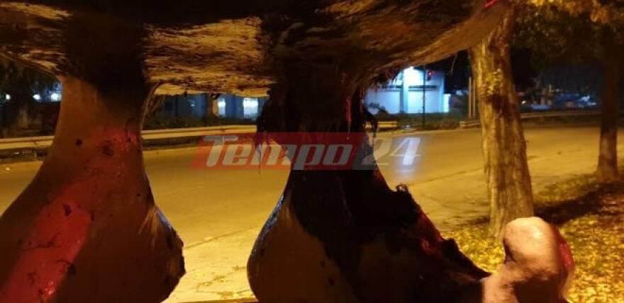 Πάτρα: Μπαράζ εμπρησμών τα ξημερώματα - Έβαλαν φωτιά σε καρναβαλικές κατασκευές