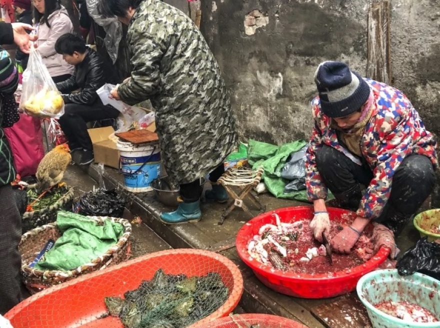 Κοροναϊός: Στους 80 οι νεκροί, ενώ «χτυπά» την πόρτα της Ευρώπης - Δείτε live την εξάπλωσή του