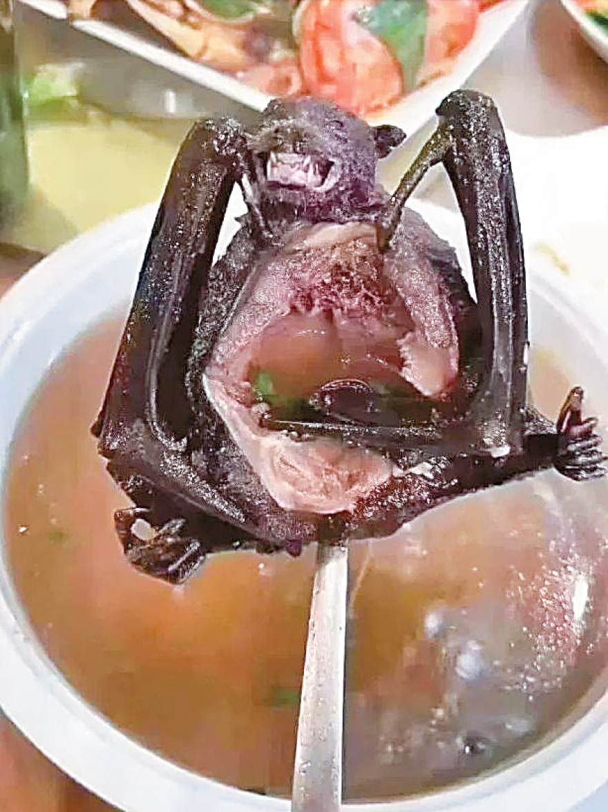 Κοροναϊός: Πώς «γεννήθηκε» ο θανατηφόρος ιός από τις κινέζικες σούπες με νυχτερίδες και φίδια