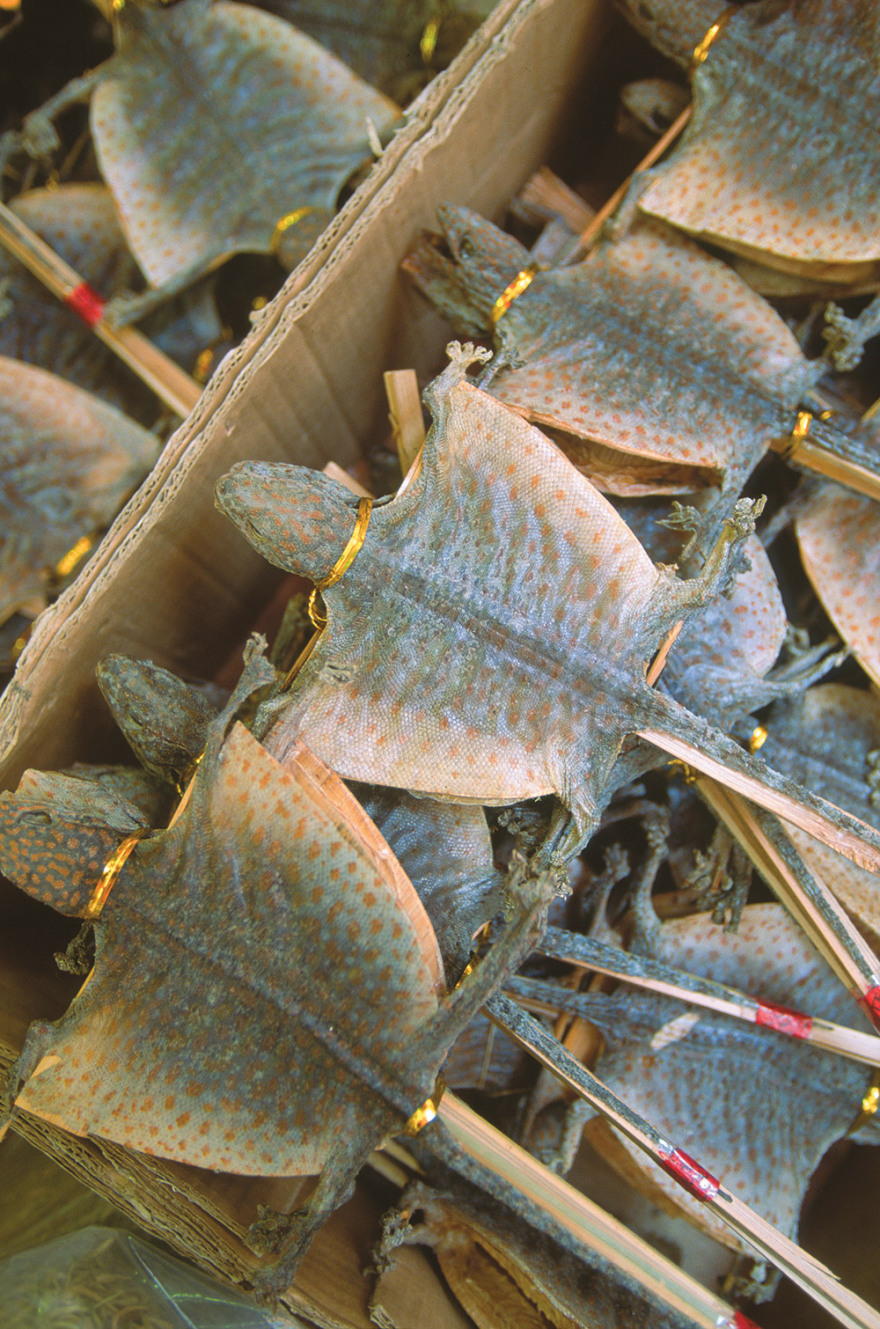 Κοροναϊός: Πώς «γεννήθηκε» ο θανατηφόρος ιός από τις κινέζικες σούπες με νυχτερίδες και φίδια