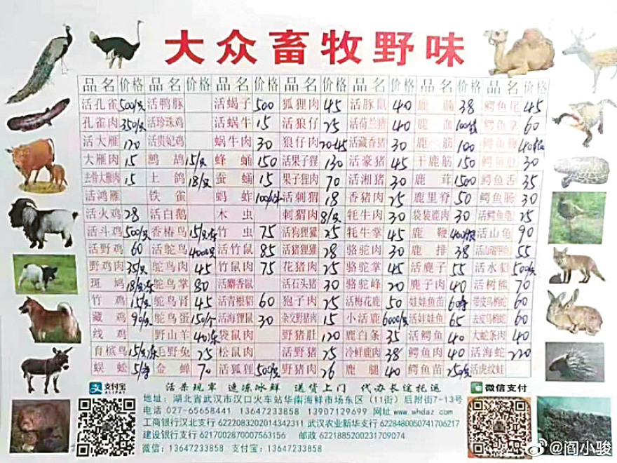 Κοροναϊός: Πώς «γεννήθηκε» ο θανατηφόρος ιός από τις κινέζικες σούπες με νυχτερίδες και φίδια