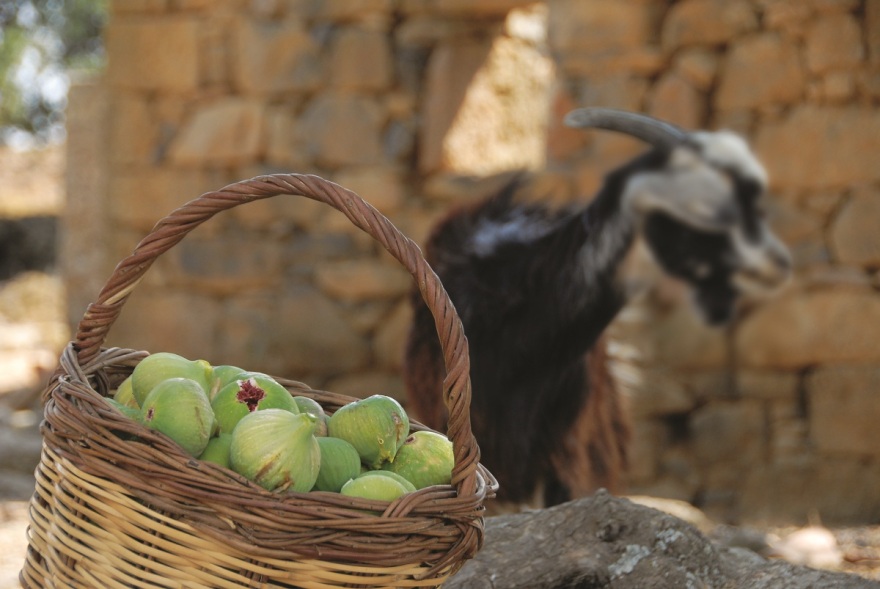 Ίμβρος: Μνήμες και γεύσεις από το νησί του Πατριάρχη