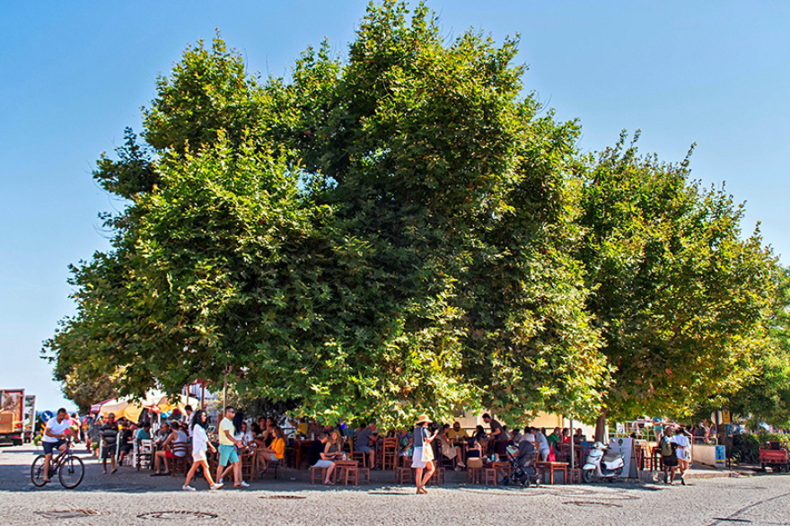 Τένεδος: το ελληνικότατο νησί που έγινε παράδεισος της τουρκικής ελίτ