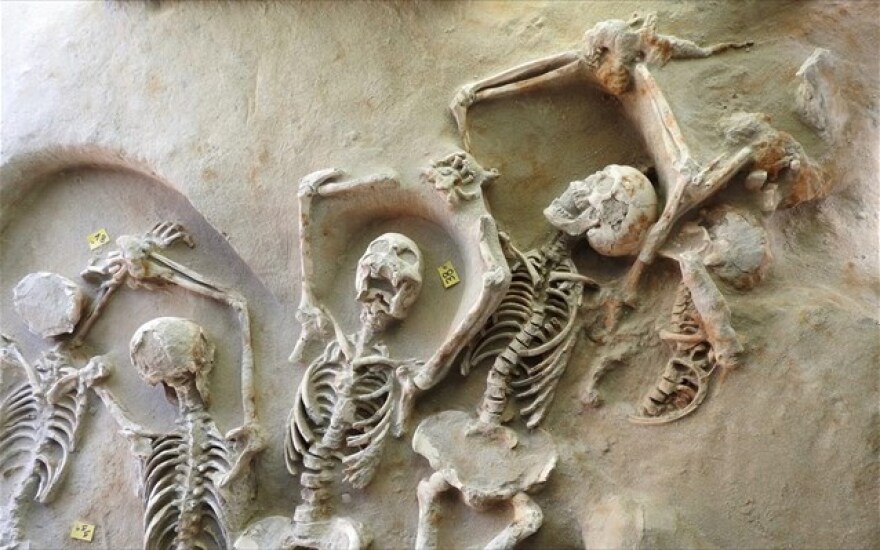 Δεσμώτες του Φαλήρου: Το ΚΑΣ πήρε θέση για την προστασία τους