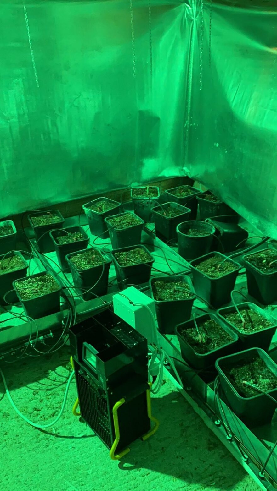 Εξαρθρώθηκε μεγάλο κύκλωμα διακίνησης ναρκωτικών - Ετοιμαζόταν να κάνει big business στη Μύκονο