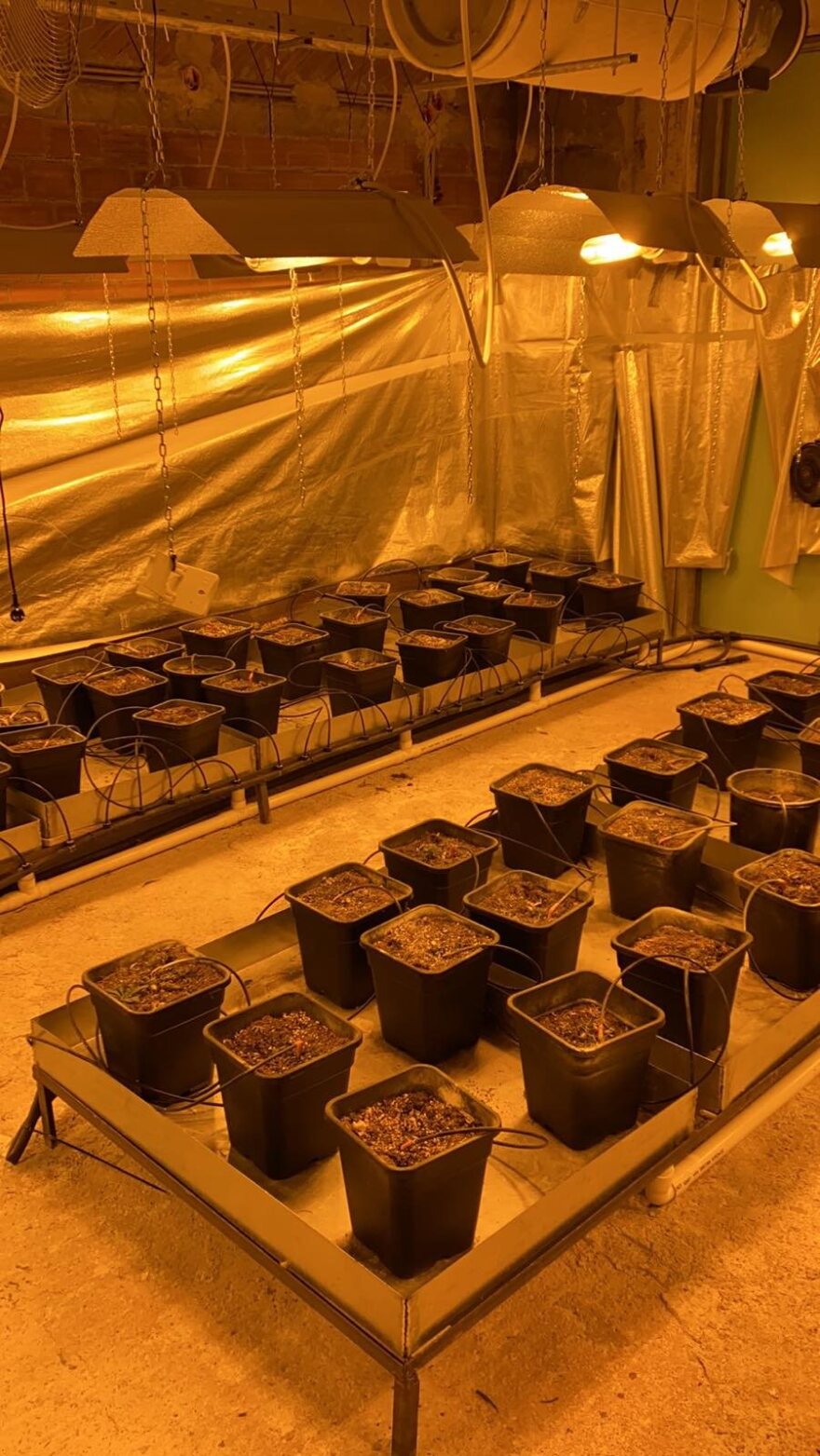 Εξαρθρώθηκε μεγάλο κύκλωμα διακίνησης ναρκωτικών - Ετοιμαζόταν να κάνει big business στη Μύκονο