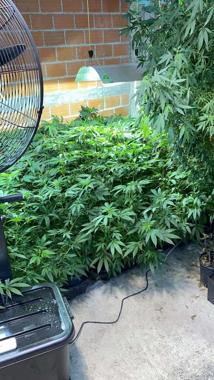 Εξαρθρώθηκε μεγάλο κύκλωμα διακίνησης ναρκωτικών - Ετοιμαζόταν να κάνει big business στη Μύκονο