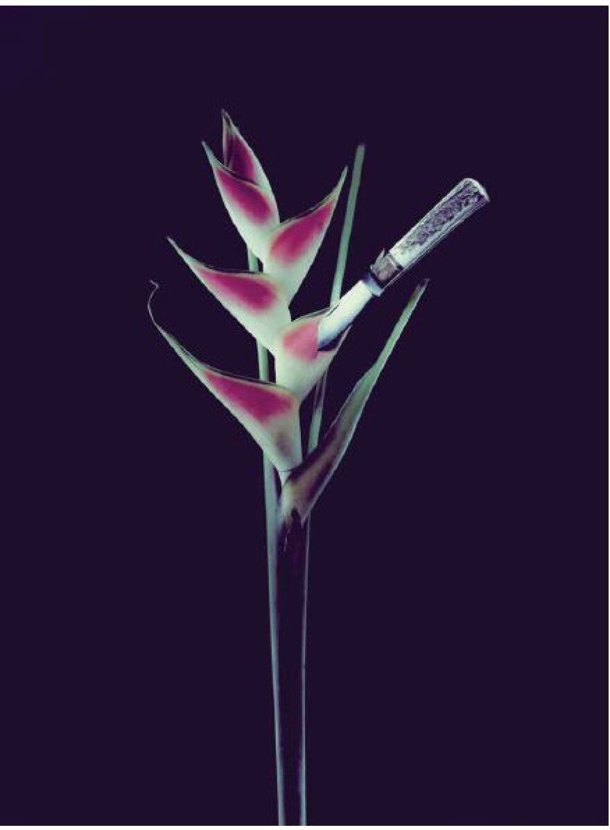 Σπύρος Πώρος: Τρεις γάμοι, πέντε παιδιά, ένα κλικ - Ο γύρος του Κόσμου σε 49 χρόνια