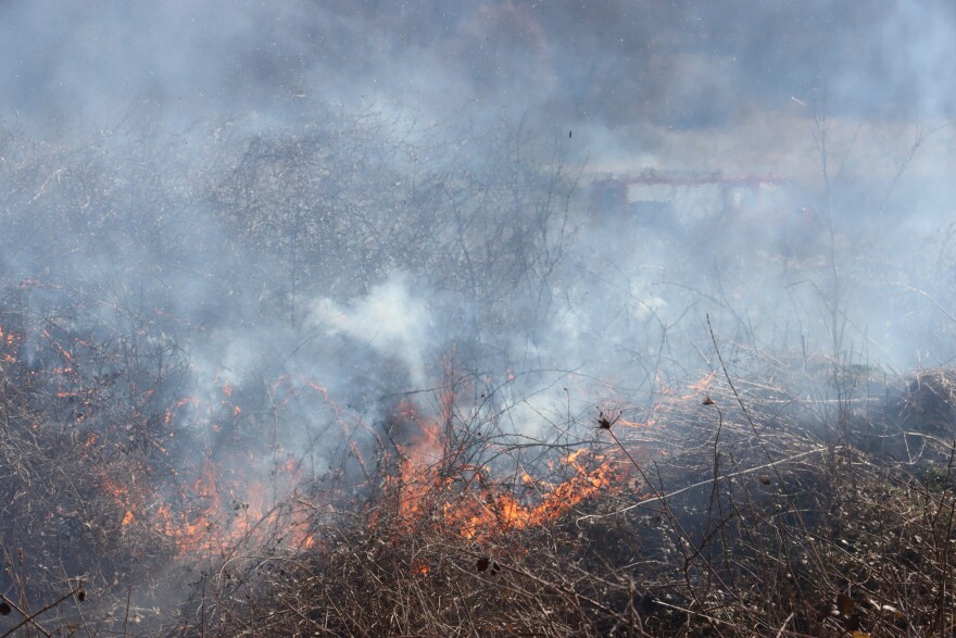 Έβρος: Μετανάστες έβαλαν φωτιά σε δασική έκταση στο χωριό Στέρνα και στο Νεοχώρι