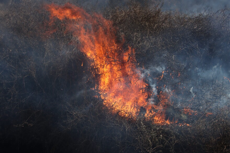 Έβρος: Μετανάστες έβαλαν φωτιά σε δασική έκταση στο χωριό Στέρνα και στο Νεοχώρι