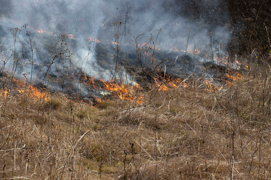Έβρος: Μετανάστες έβαλαν φωτιά σε δασική έκταση στο χωριό Στέρνα και στο Νεοχώρι
