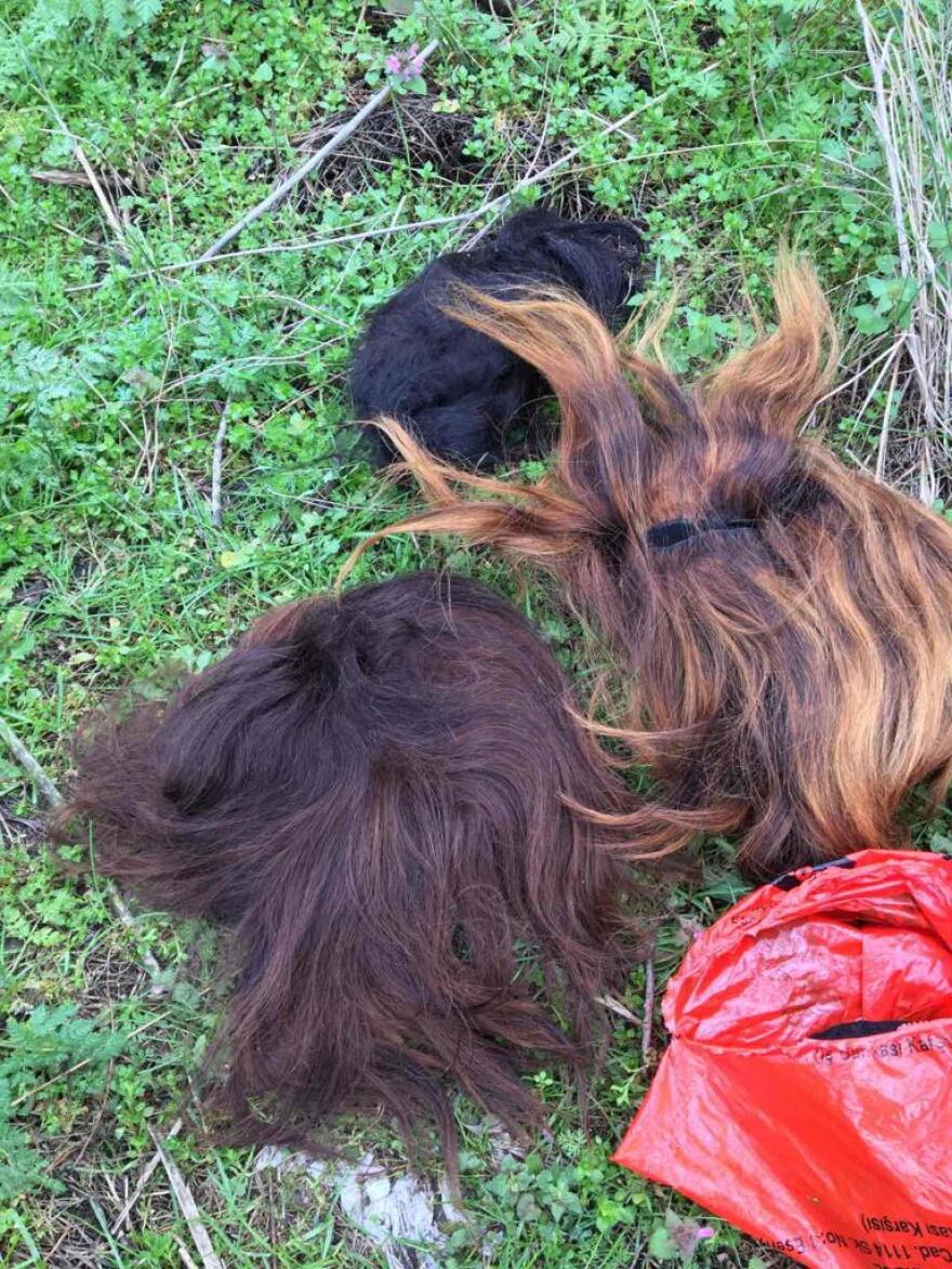 Μεταναστευτικό: Οι Τούρκοι βάζουν γυναικείες περούκες σε μετανάστες για να περάσουν τον Έβρο