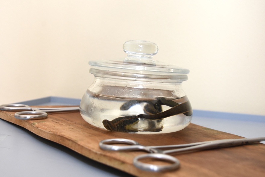 Κορωνοϊός: Μετά την πρόπολη του Κραουνάκη, οι... βδέλλες του εγγονού του Ζαμπέτα 