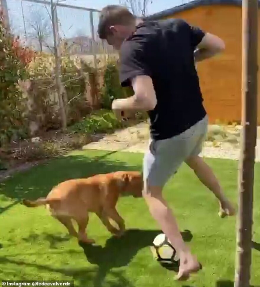 Κορωνοϊός, Αθλητισμός: Τι κάνουν οι αθλητές στο σπίτι;