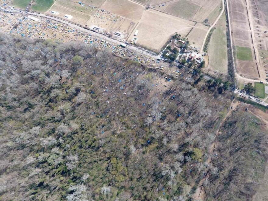 Έβρος: Μετανάστες αποψιλώνουν το παρόχθιο δάσος - Δείτε φωτογραφίες