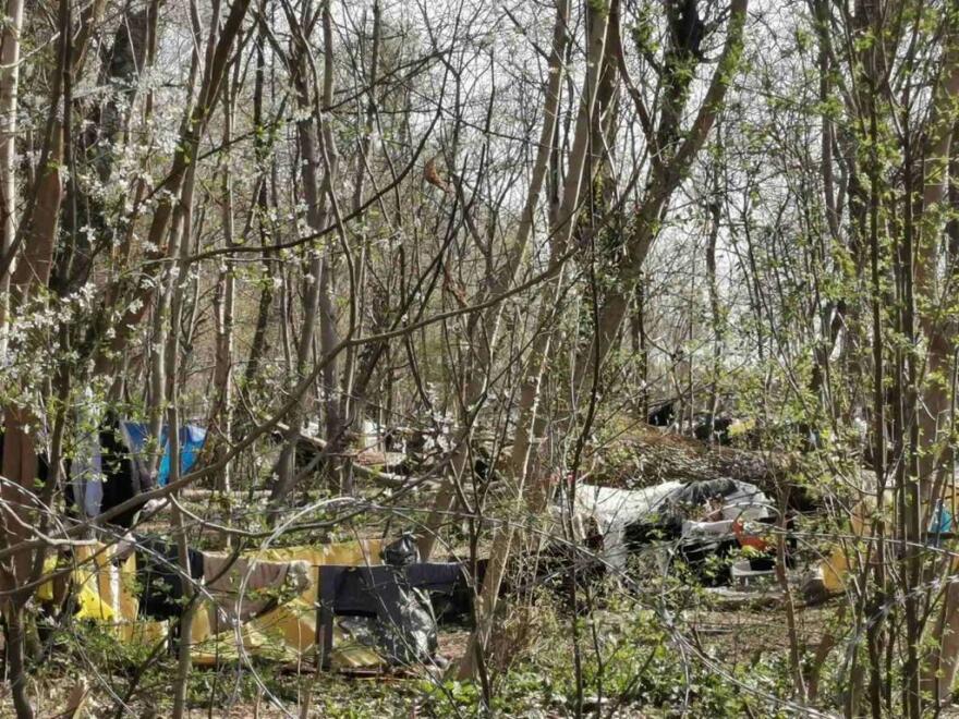 Έβρος: Μετανάστες αποψιλώνουν το παρόχθιο δάσος - Δείτε φωτογραφίες