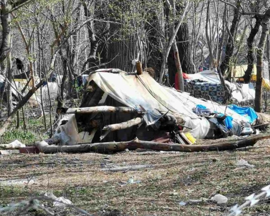 Έβρος: Μετανάστες αποψιλώνουν το παρόχθιο δάσος - Δείτε φωτογραφίες