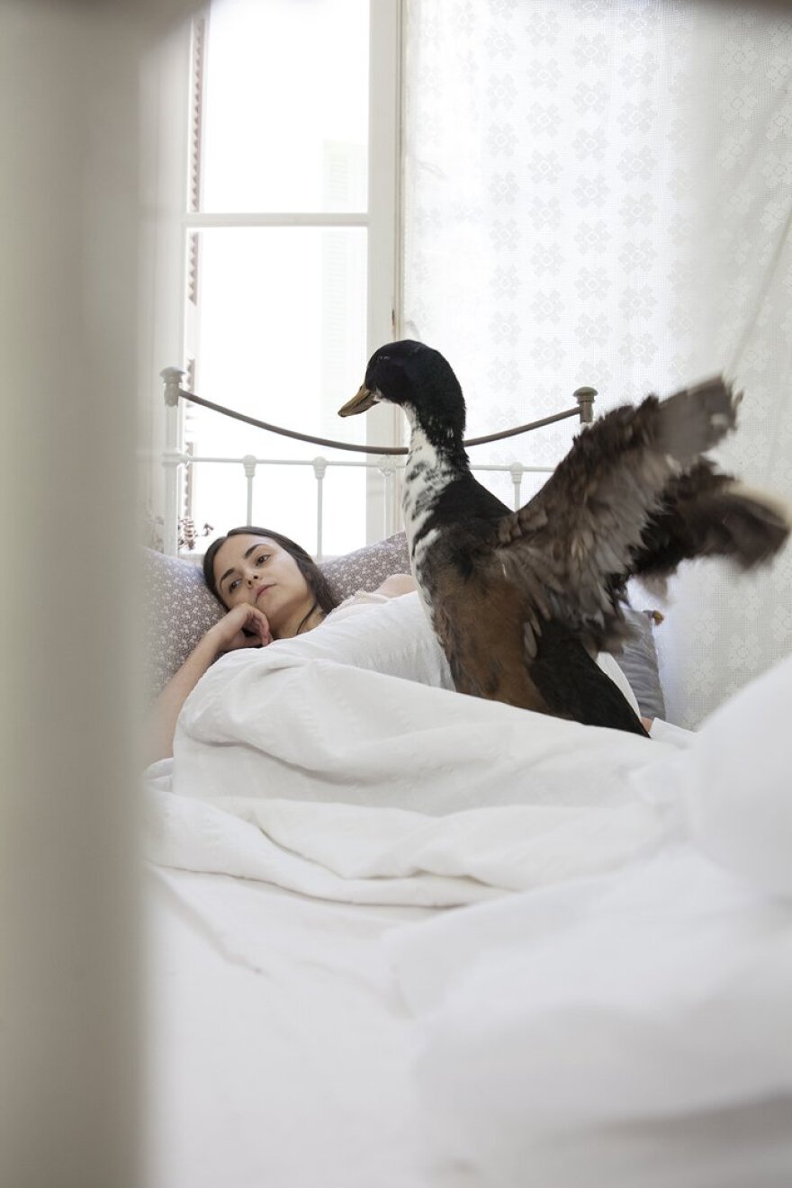  «Μένουμε σπίτι» : Το Θέατρο «Πορεία» ανοίγει δωρεάν το αρχείο του με on line παραστάσεις