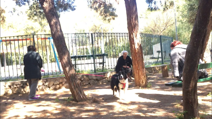 Κορωνοϊός - Φωτογραφίες: Κλειστό το Πεδίον του Άρεως, ελάχιστος κόσμος στα άλλα πάρκα της Αθήνας