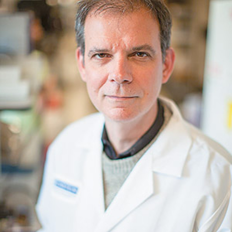 Κορωνοϊός: Το πείραμα της Μασσαλίας και όλα τα νέα φάρμακα που δοκιμάζονται στον κόσμο