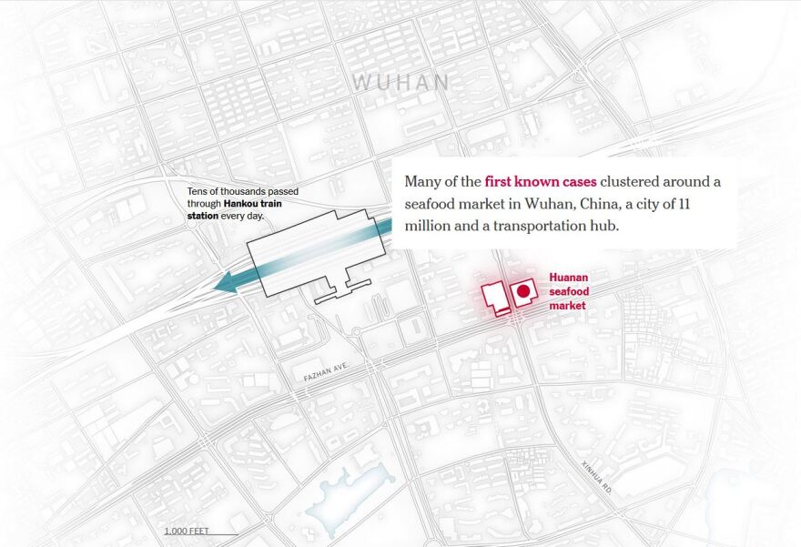 Κορωνοϊός: Πώς «ξέφυγε» ο ιός και προκλήθηκε η πανδημία