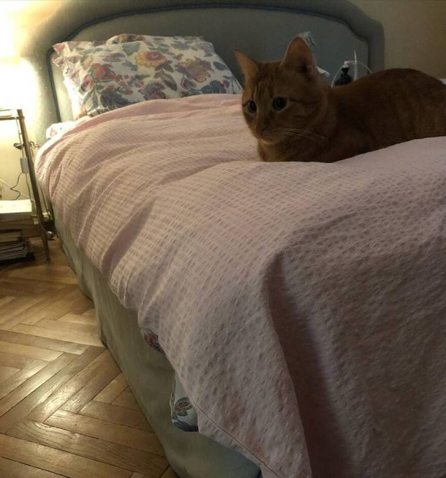 Βαρύ πένθος για την Κατερίνα Γκαγκάκη: Η ανάρτησή της για τον θάνατο του πατέρα της