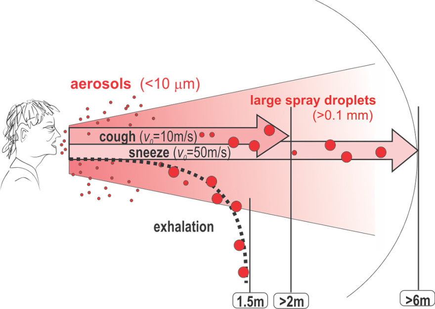 Κορωνοϊός: Τελικά, να φοράμε μάσκες ή όχι;