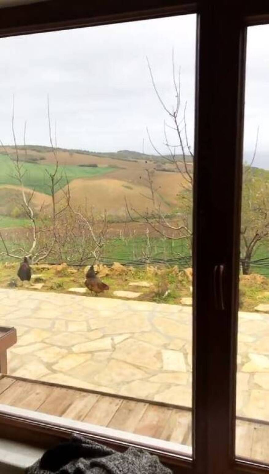 Χαρά Παππά - Μπουράκ Χακί: Με αγροτικές δουλειές περνάει την καραντίνα το ζευγάρι