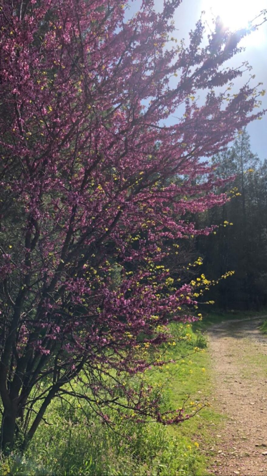 Ρούλα Ρέβη - Αποστόλης Τότσικας: Πρώτη βόλτα με τα παιδιά για τρέξιμο μετά από 1 μήνα καραντίνας