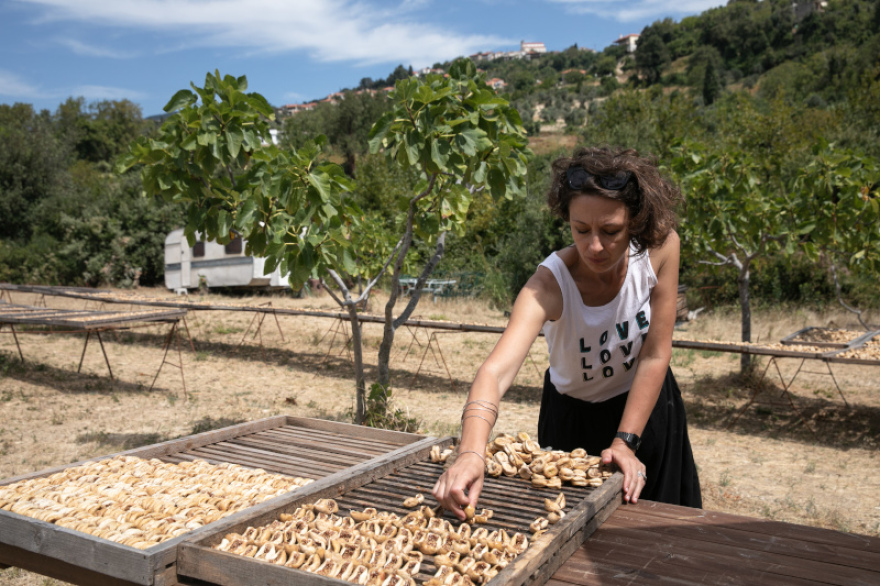Κορωνοϊός - «Αποστολή»: Πρόγραμμα ενίσχυσης επιχειρήσεων και συνεταιρισμών 