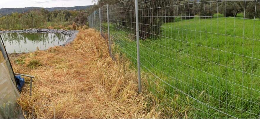 Χίος: Η δικογραφία για τους πυροβολισμούς κατά ανήλικων προσφυγόπουλων