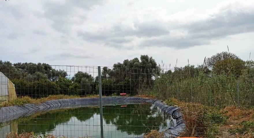 Χίος: Η δικογραφία για τους πυροβολισμούς κατά ανήλικων προσφυγόπουλων