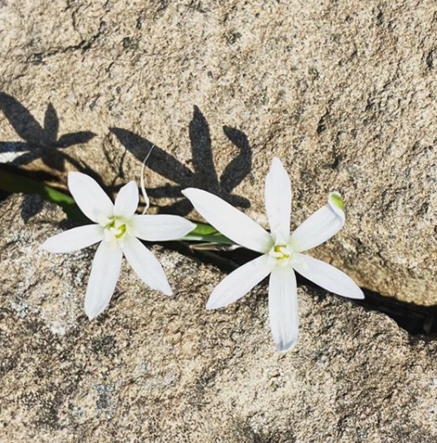 Δανάη Στράτου: Μετά τον καβγά του Βαρουφάκη πόσταρε φωτογραφίες από την Αίγινα