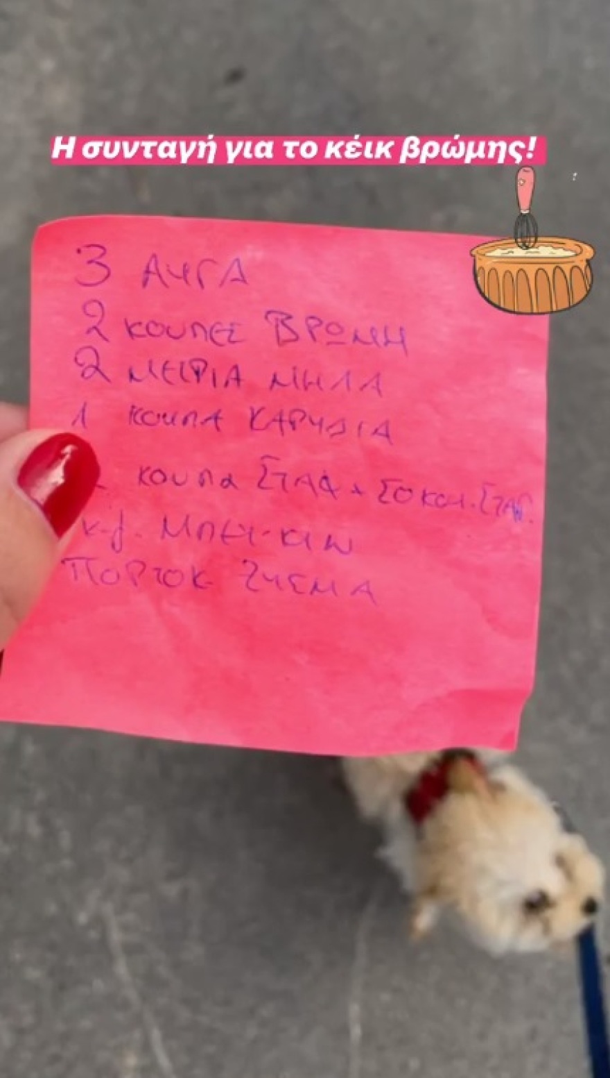 Κωνσταντίνα Σπυροπούλου: Έφτιαξε το πρώτο της γλυκό και το έκανε... delivery 