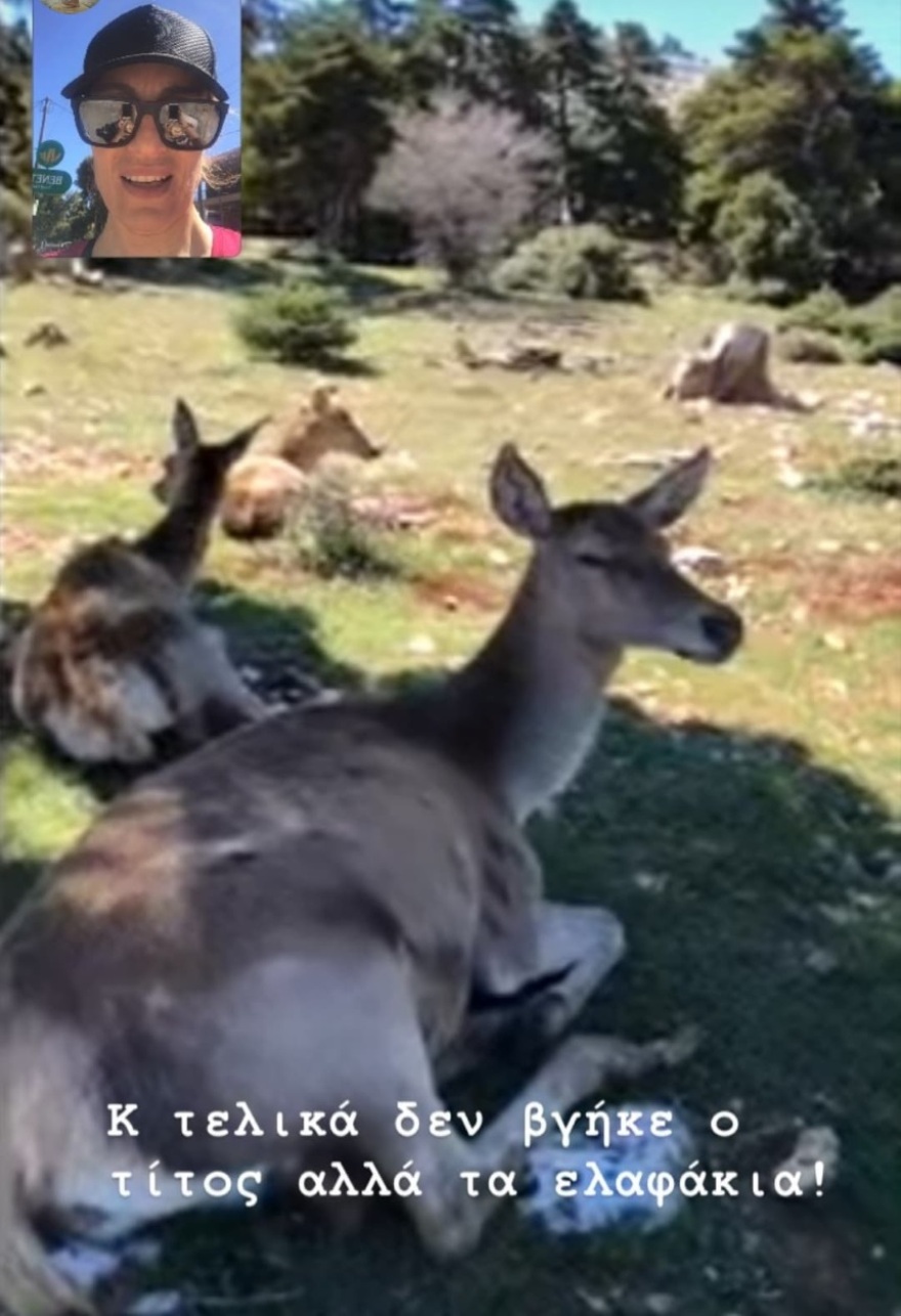 Ελεονώρα Μελέτη: Η βόλτα με την κόρη της στο βουνό και η απρόσμενη συνάντηση 