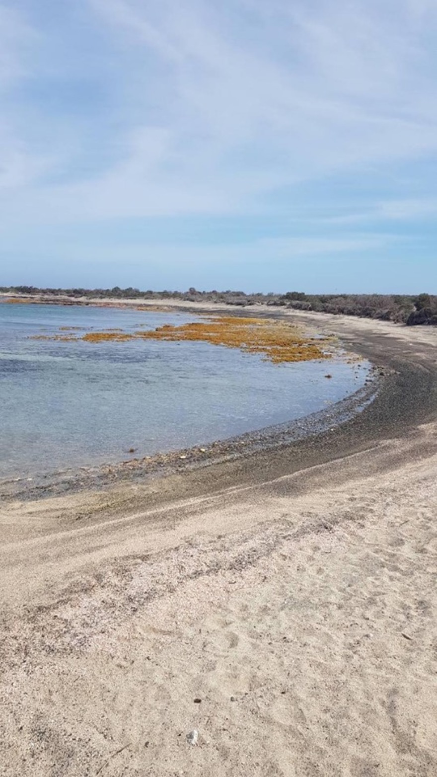 Σεισμός στην Κρήτη: Μίνι «τσουνάμι» σε Χρυσή και Άρβη