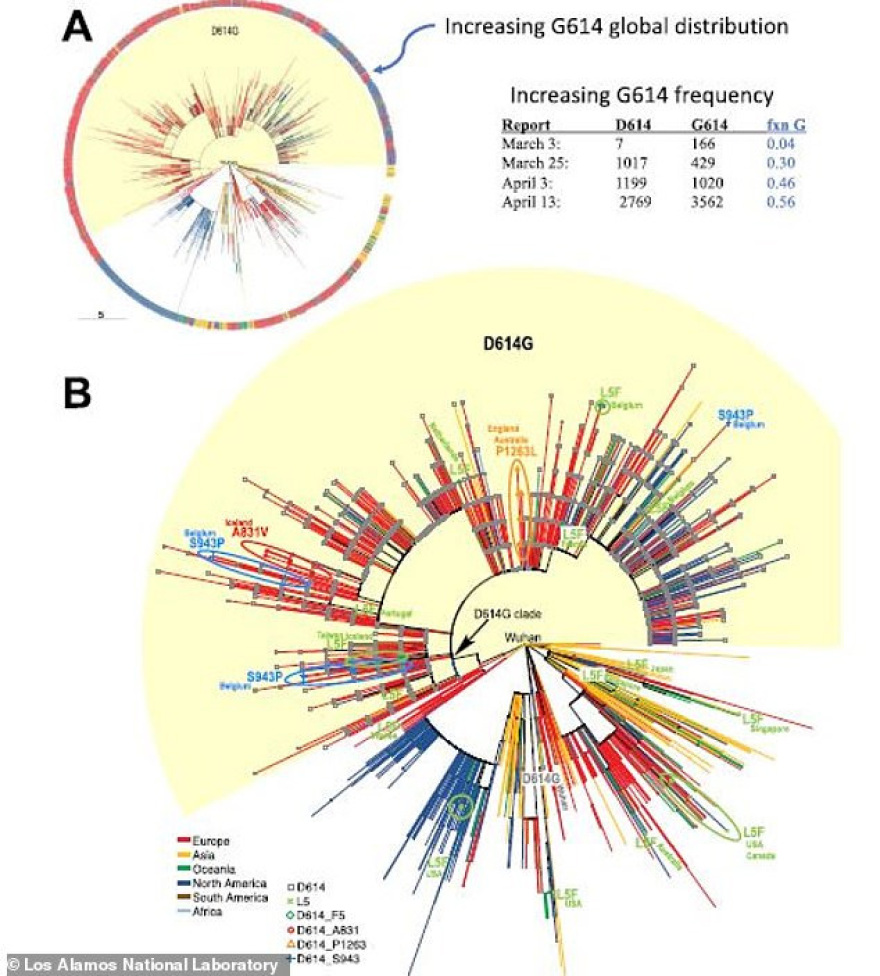 Κορωνοϊός: Μεταλλαγμένο και πιο επιθετικό το στέλεχος του ιού που «χτύπησε» ΗΠΑ και Ευρώπη 