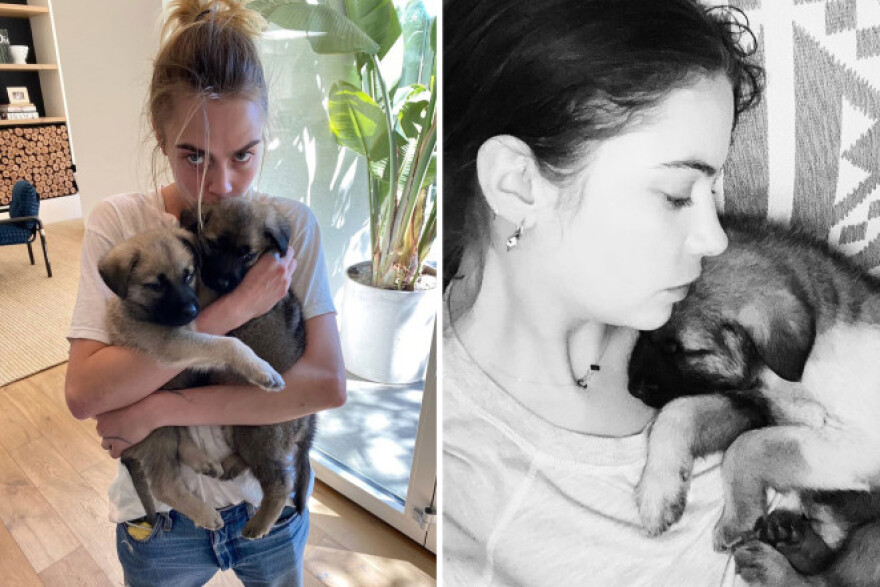 Cara Delevingne: Η Ashley (και όχι μόνο) φιλούσε υπέροχα 