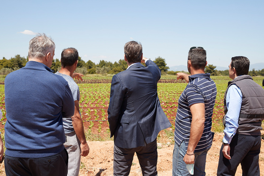 Επίσκεψη Μητσοτάκη σε πρότυπη αγροτική μονάδα στον Αυλώνα: Ο πρωτογενής τομέας μοχλός ανάπτυξης