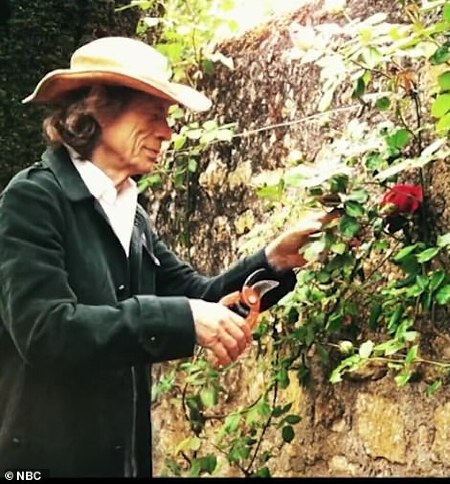 Μικ Τζάγκερ - Κάρλα Μπρούνι: Καραντίνα στα «παλάτια» τους στη Γαλλία για τους δύο πρώην εραστές