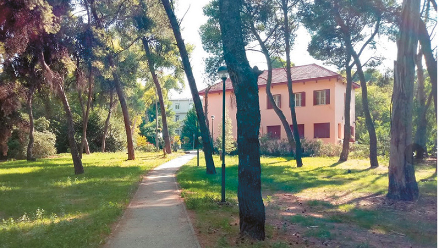 Πώς το... ταπεινό «Σωτηρία» έσωσε τον Λιβανέζο μεγιστάνα από τον ιό, η περιπέτεια του Χούρι