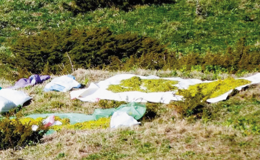 «Λουλούδι του Δαρβίνου»: Κίνδυνος εξαφάνισης των θαυματουργών φυτών!