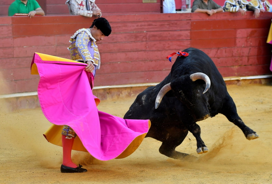 Κορωνοϊός - Ισπανία: Θα φέρει η πανδημία το τέλος των ταυρομάχων;
