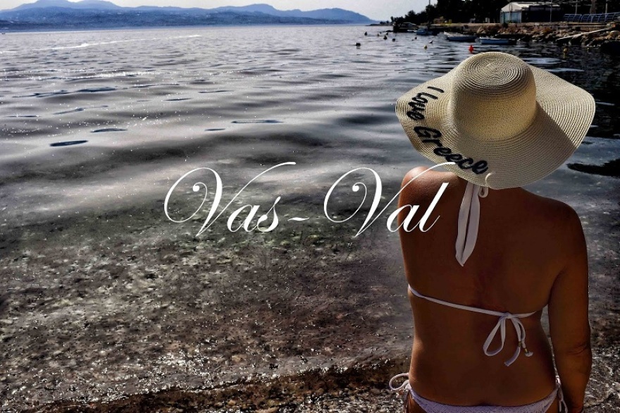 Ο Κορινθιακός Κόλπος γέμισε με ζελέ «Salps»