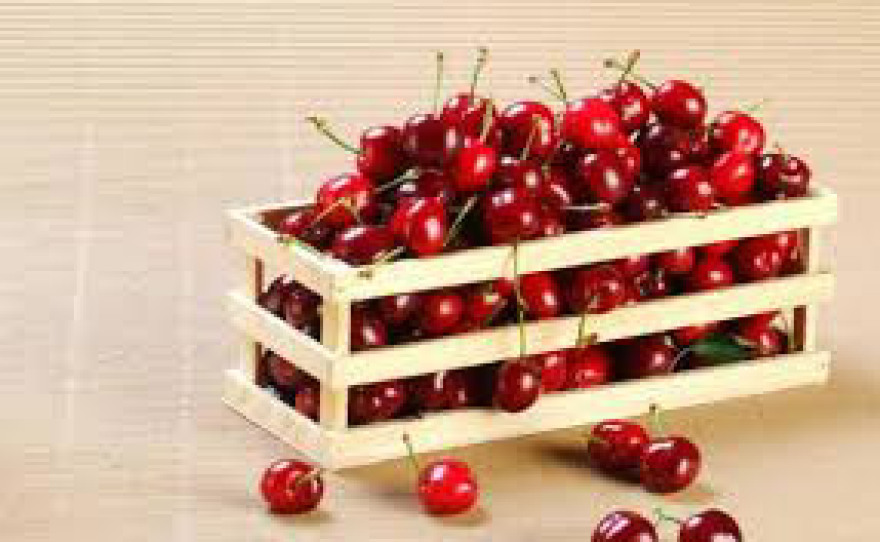 Έτσι θα δώσουμε ποιότητα στα αγροτικά πρoιόντα μας… 